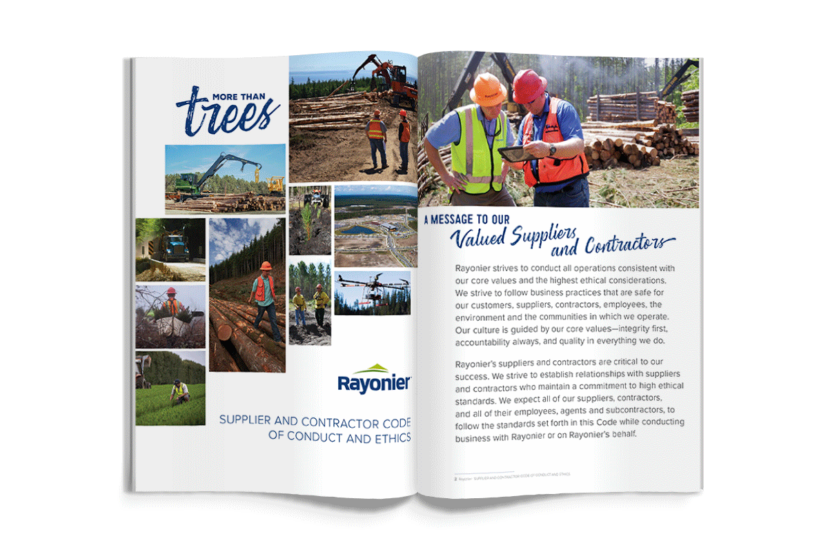 Supplier Coce Animated V3