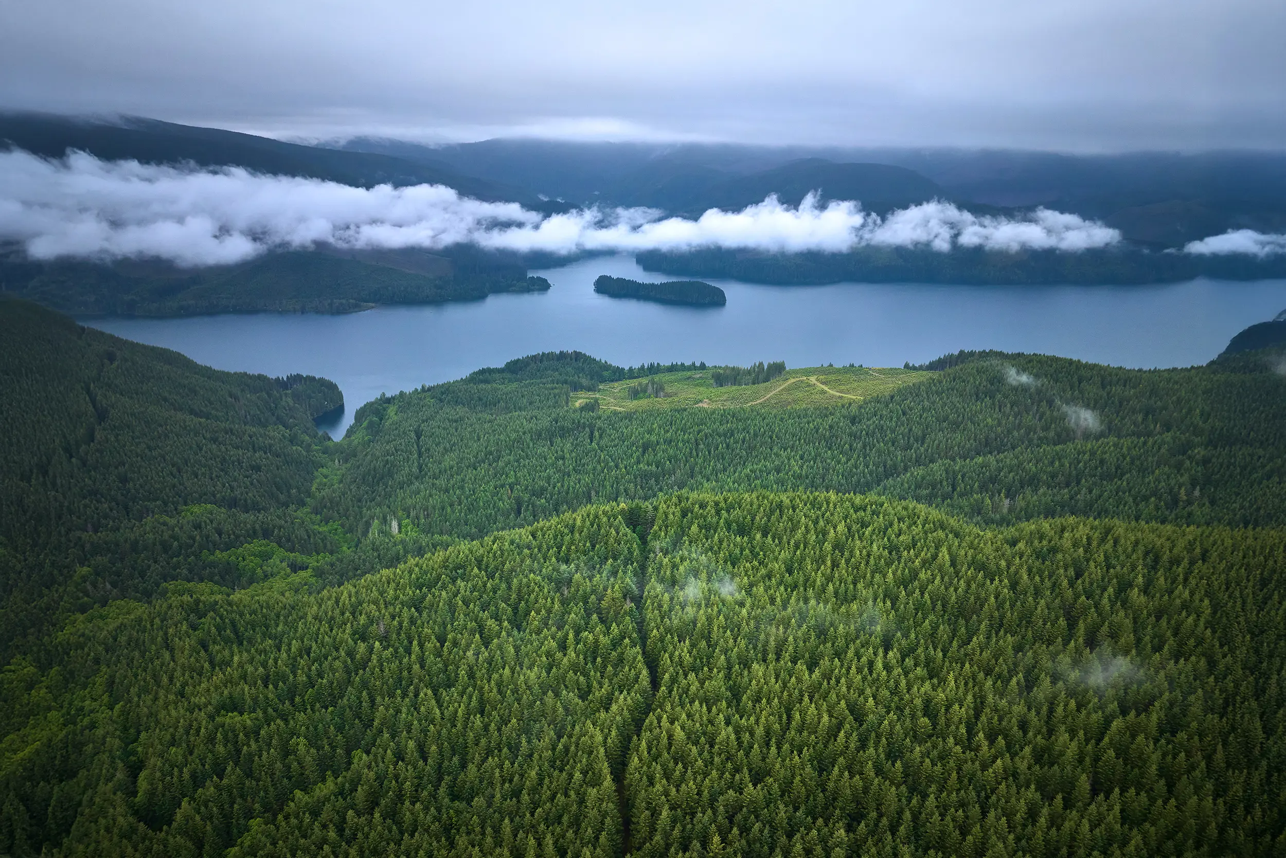 Rayonier Business Forestry