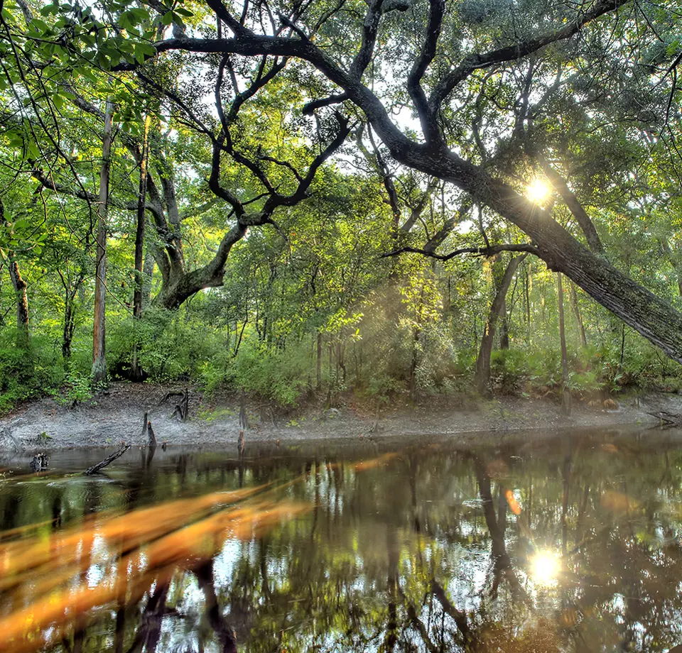 Rayonier Conservation Hero